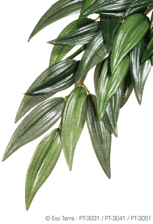 Exo Terra Rucus Silk Plant, Small - Dubia.com